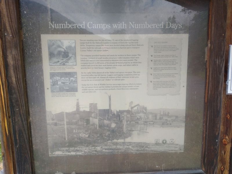 Numbered Camps with Numbered Days Marker. Click for full size. Numbered Camps with Numbered Days Marker image. Click for full size.