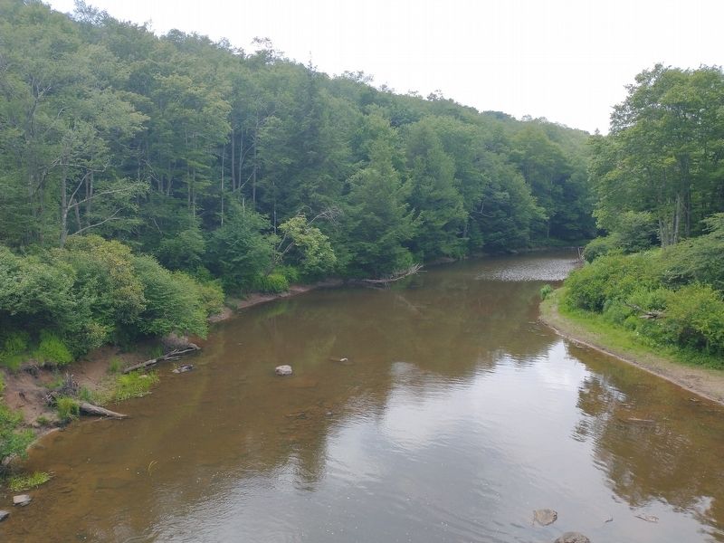 Blackwater River. Click for full size. Blackwater River image. Click for full size.