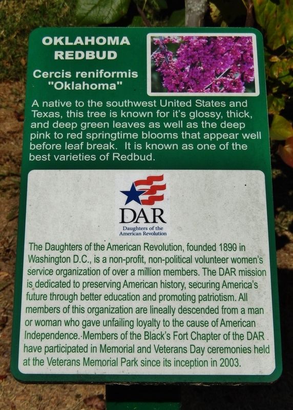 Daughters of the American Revolution Marker image. Click for full size.