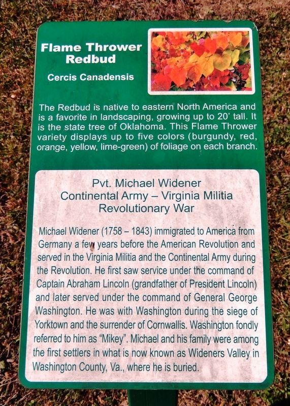 Pvt. Michael Widener Marker. Click for more information. Pvt. Michael Widener Marker image. Click for more information.
