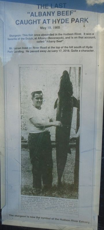 The Last "Albany Beef" Caught at Hyde Park Marker image. Click for full size.