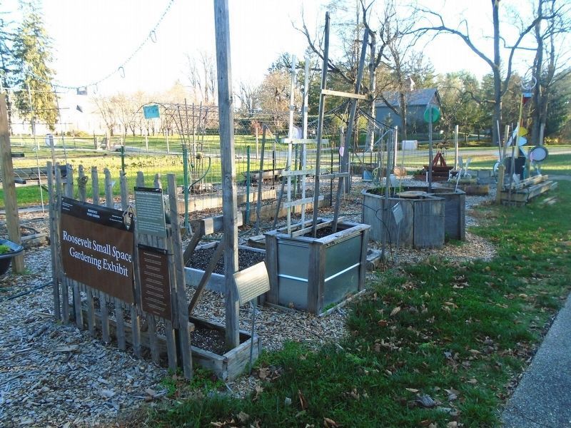 Growing Your Own: A Roosevelt Ideal Marker and Small Space Gardening Exhibit image. Click for full size.