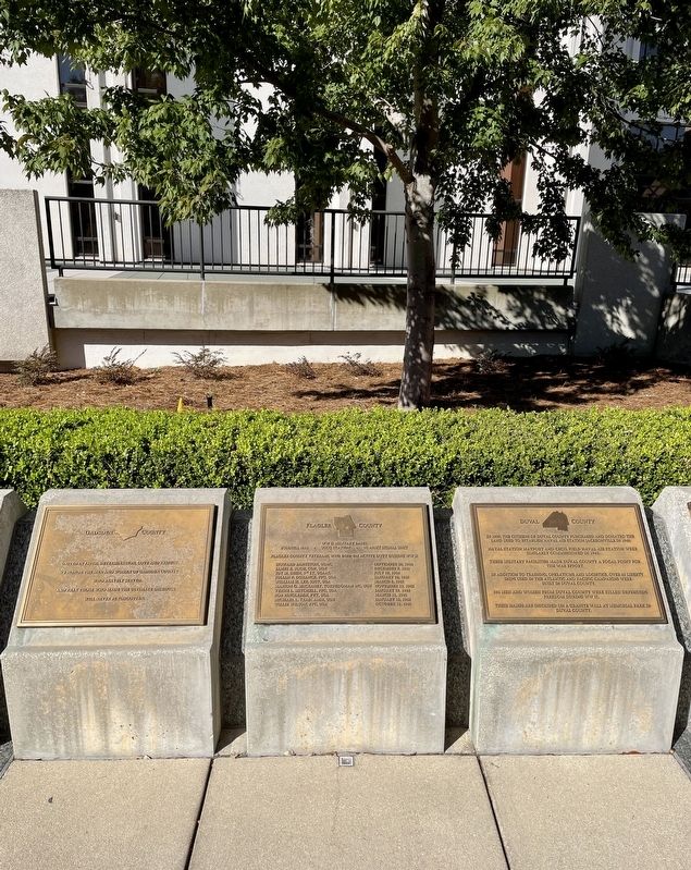 Flagler County Marker (center) image. Click for full size.