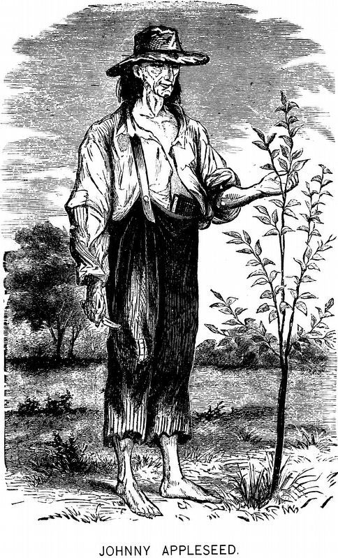 Johnny Appleseed image. Click for full size.
