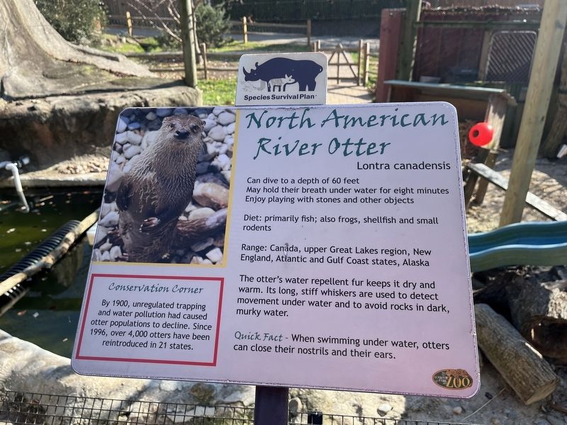 North American River Otter Marker. Click for full size. North American River Otter Marker image. Click for full size.