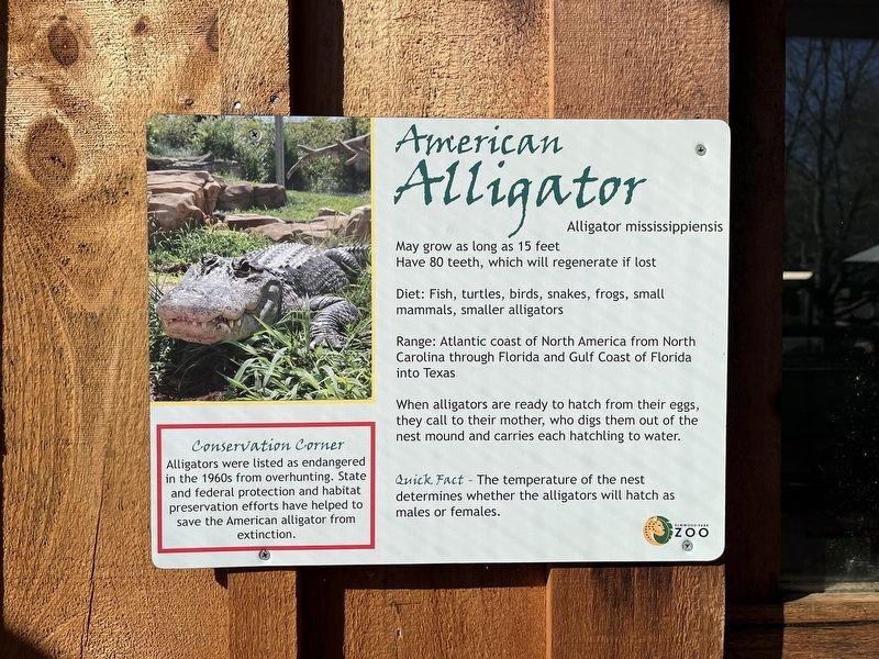 American Alligator Marker. Click for full size. American Alligator Marker image. Click for full size.