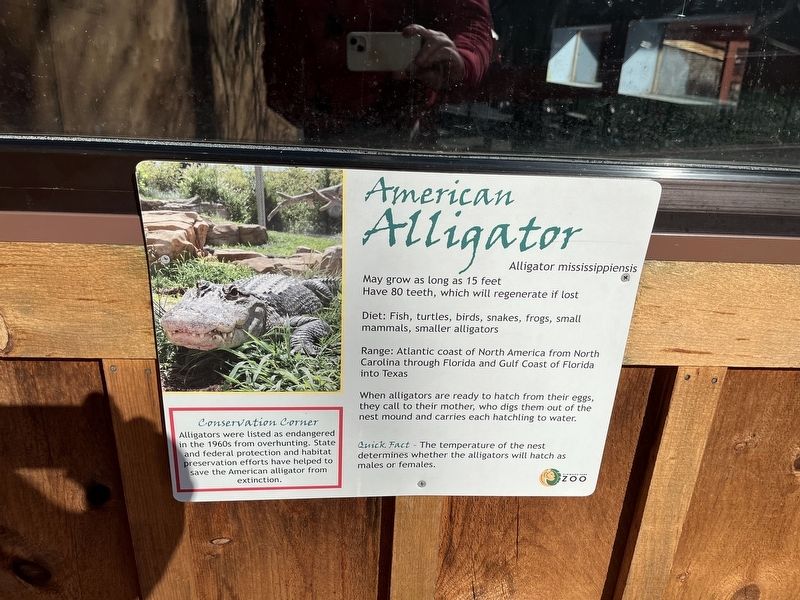 American Alligator Marker image. Click for full size.