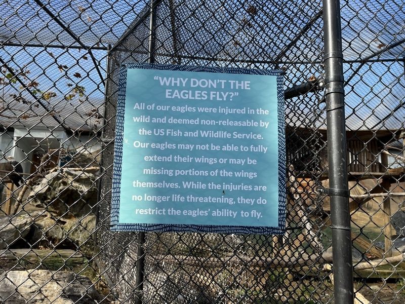 Additional sign at the Bald Eagle habitat image. Click for full size.