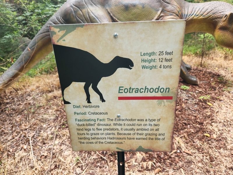 Eotrachodon Marker image. Click for full size.