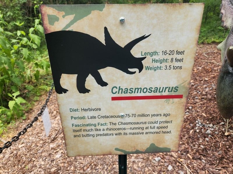 Chasmosaurus Marker image. Click for full size.