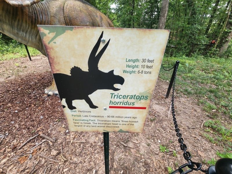 Triceratops horridus Marker. Click for full size. Triceratops horridus Marker image. Click for full size.