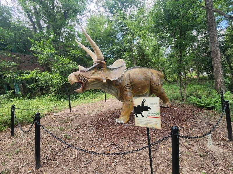 Triceratops horridus Marker image. Click for full size.