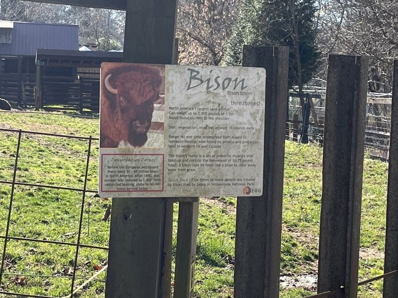 Bison Marker. Click for full size. Bison Marker image. Click for full size.
