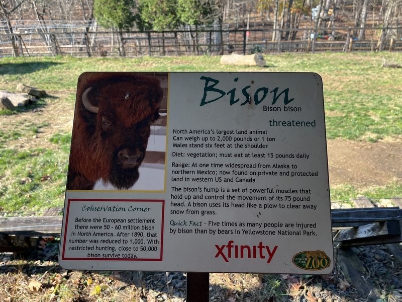 Bison Historical Marker