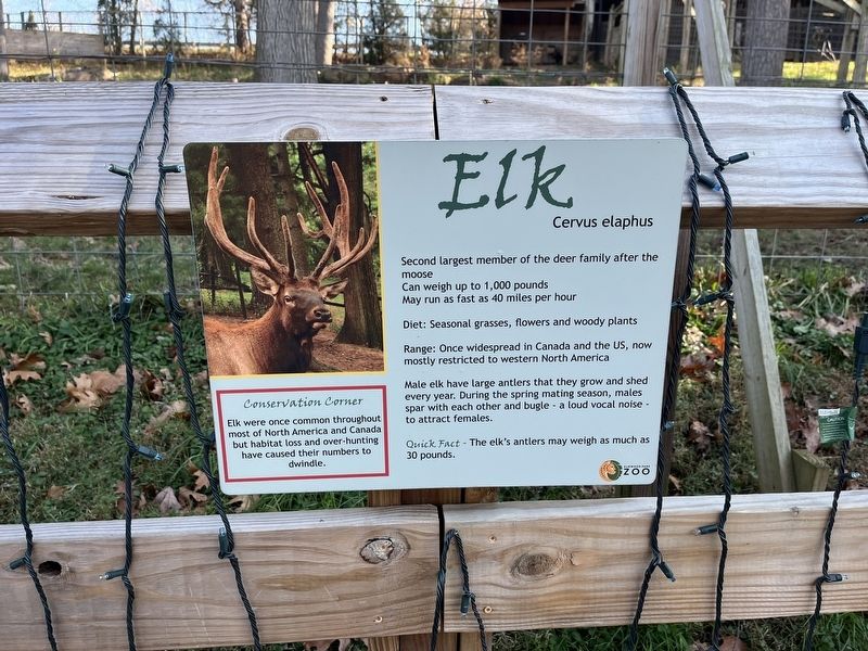 Elk Marker image. Click for full size.