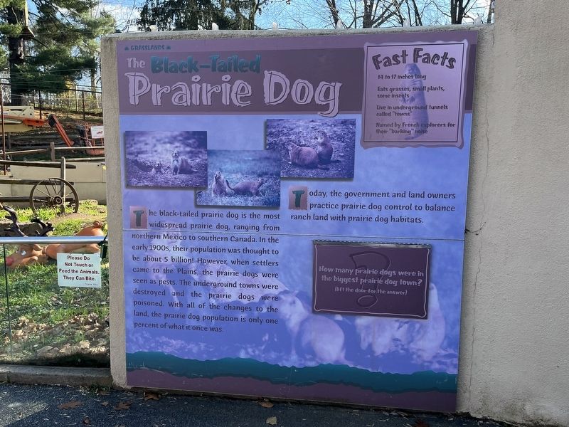 The Black-Tailed Prairie Dog Marker. Click for full size. The Black-Tailed Prairie Dog Marker image. Click for full size.