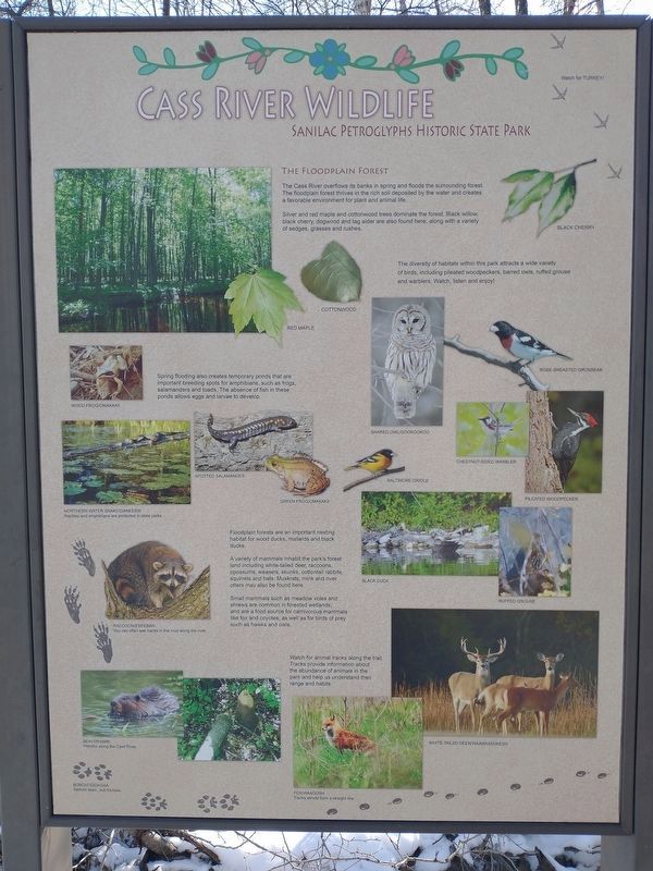 Nearby nature marker. Click for full size. Nearby nature marker image. Click for full size.