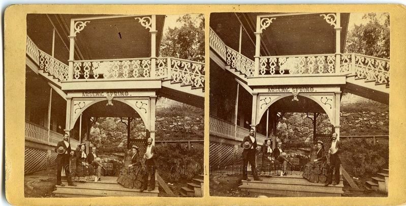 Arsenic Spring, Hot Springs, Arkansas, 1886 image. Click for more information.