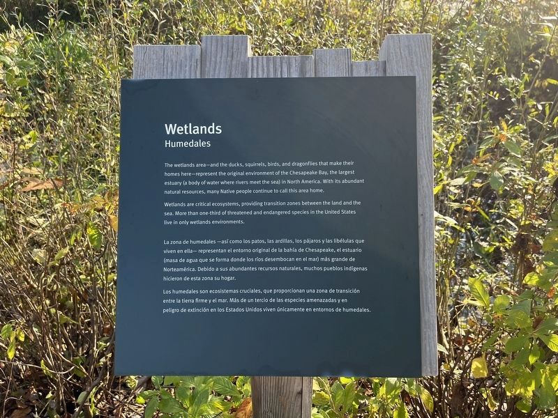 The replacement for the Wetlands marker. Click for full size. The replacement for the Wetlands marker image. Click for full size.