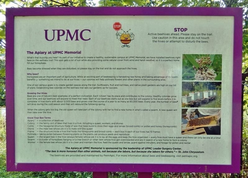 The Apiary at UPMC Marker image. Click for full size.