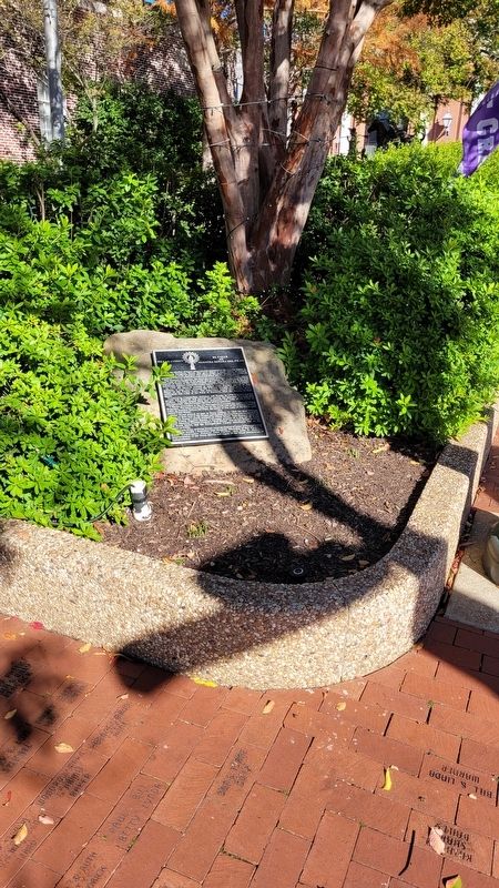 The Pillar Street Marker located on the ground image. Click for full size.
