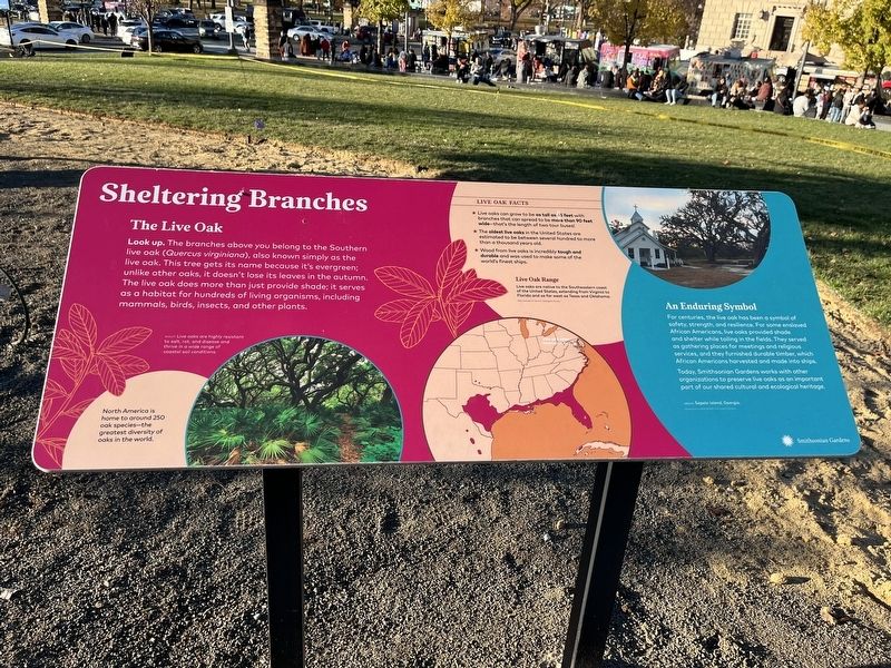 Sheltering Branches Marker. Click for full size. Sheltering Branches Marker image. Click for full size.