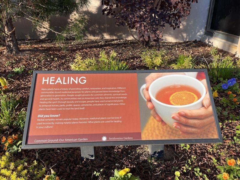 Healing Marker. Click for full size. Healing Marker image. Click for full size.