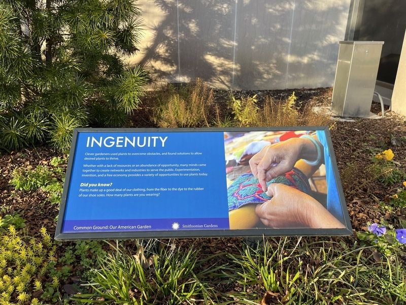 Ingenuity Marker. Click for full size. Ingenuity Marker image. Click for full size.