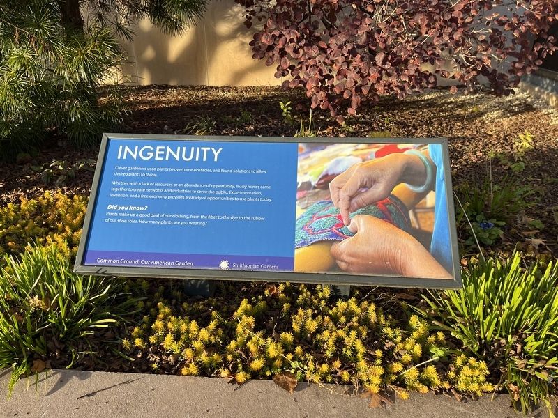Ingenuity Marker. Click for full size. Ingenuity Marker image. Click for full size.