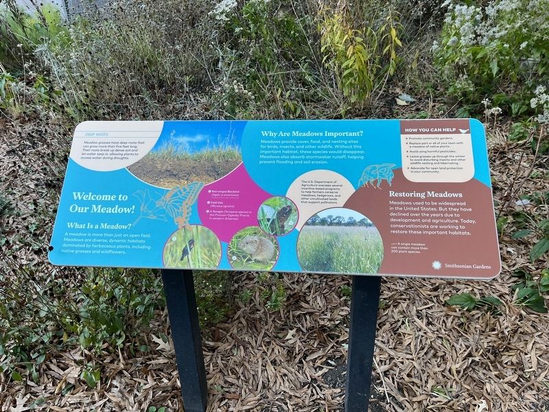 Welcome to Our Meadow! Marker image. Click for full size.