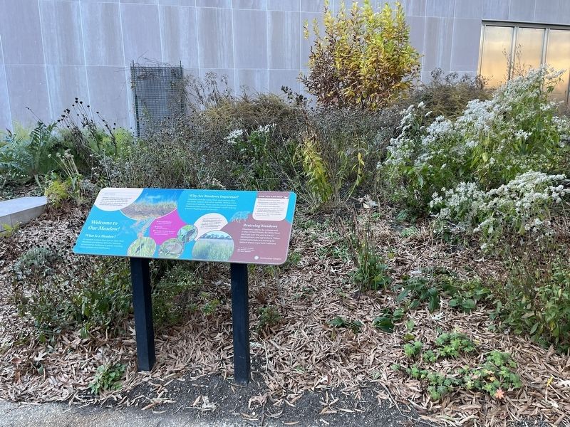 Welcome to Our Meadow! Marker image. Click for full size.