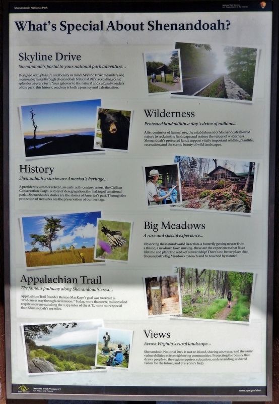 What's Special about Shenandoah? Marker. Click for full size. What's Special about Shenandoah? Marker image. Click for full size.