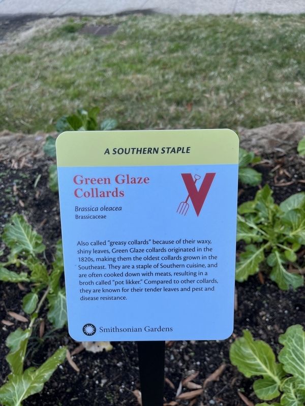 Green Glaze Collards Marker image. Click for full size.