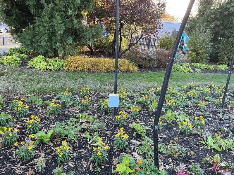 Cascade Hops Marker. Click for full size. Cascade Hops Marker image. Click for full size.