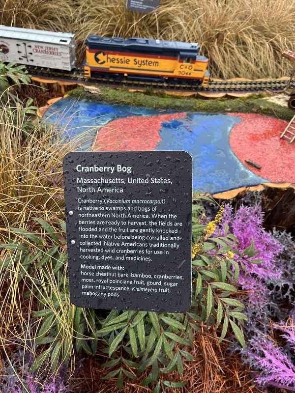 Cranberry Bog Marker. Click for full size. Cranberry Bog Marker image. Click for full size.