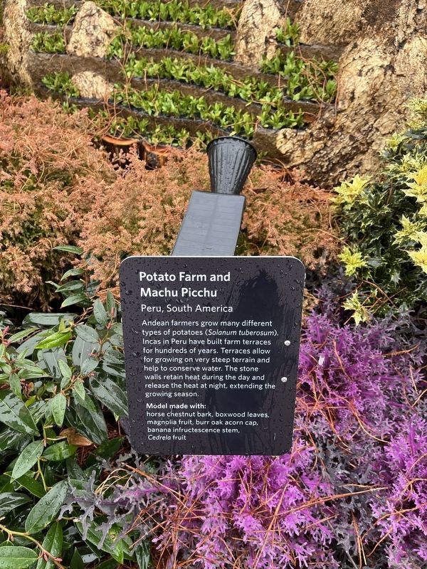 Potato Farm and Machu Picchu Marker. Click for full size. Potato Farm and Machu Picchu Marker image. Click for full size.
