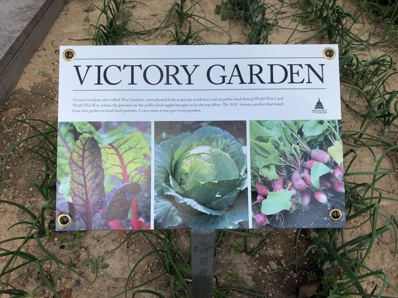 Victory Garden Marker image. Click for full size.