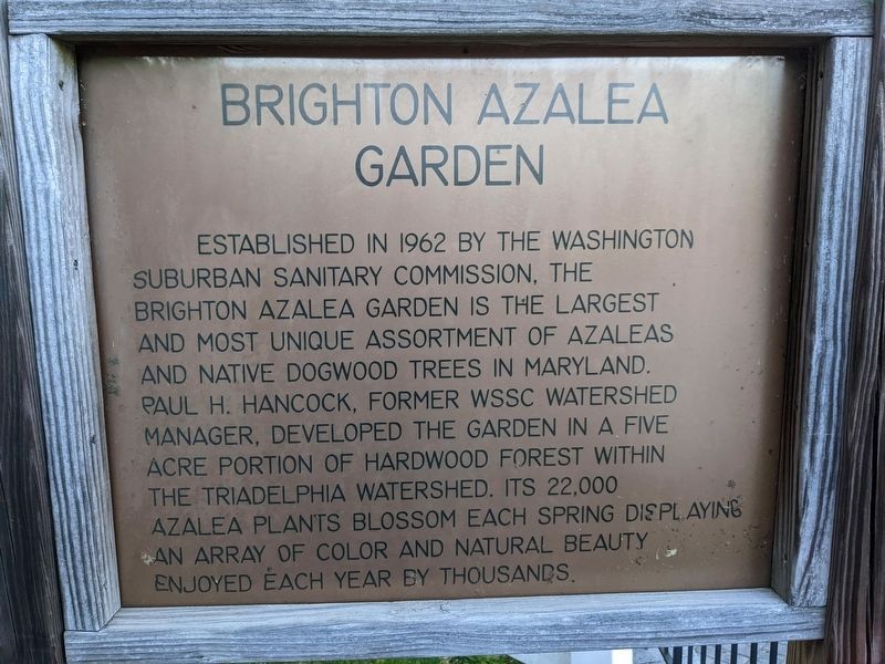 Brighton Azalea Garden Marker. Click for full size. Brighton Azalea Garden Marker image. Click for full size.