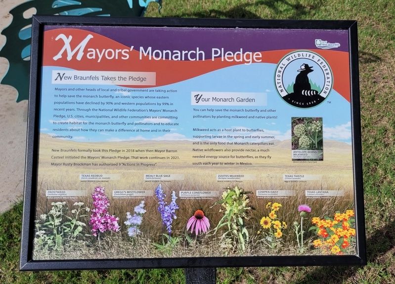 Mayors' Monarch Pledge Marker. Click for full size. Mayors' Monarch Pledge Marker image. Click for full size.