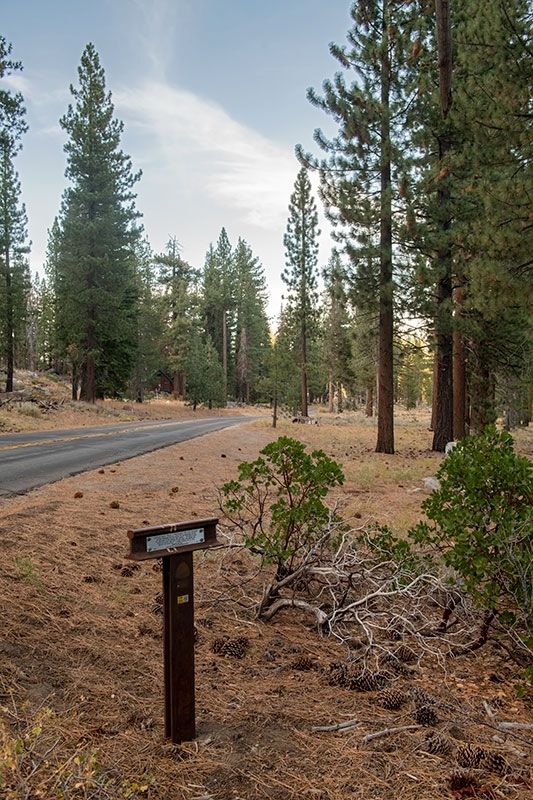 Luther Pass and Johnson Cutoff T-Marker image. Click for full size.