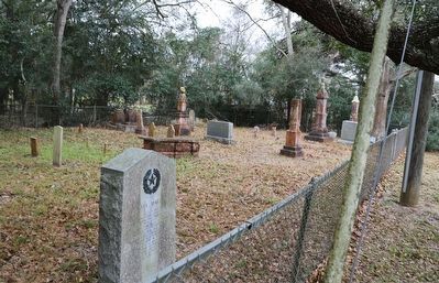 Wyly Martin Marker. Click for full size. Wyly Martin Marker image. Click for full size.