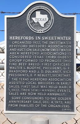 Herefords in Sweetwater Marker image. Click for full size.