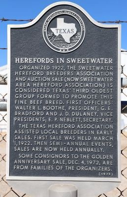 Herefords in Sweetwater Marker. Click for full size. Herefords in Sweetwater Marker image. Click for full size.