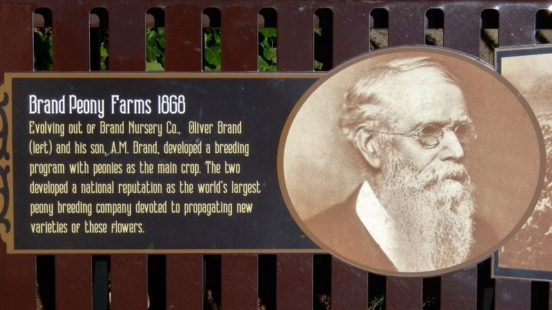 Brand Nursery of Faribault Marker (<i>left panel</i>). Click for full size. Brand Nursery of Faribault Marker (<i>left panel</i>) image. Click for full size.