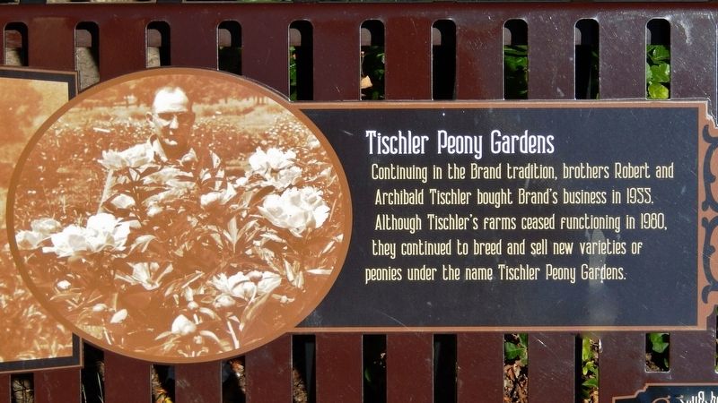 Brand Nursery of Faribault Marker (<i>right panel</i>). Click for full size. Brand Nursery of Faribault Marker (<i>right panel</i>) image. Click for full size.