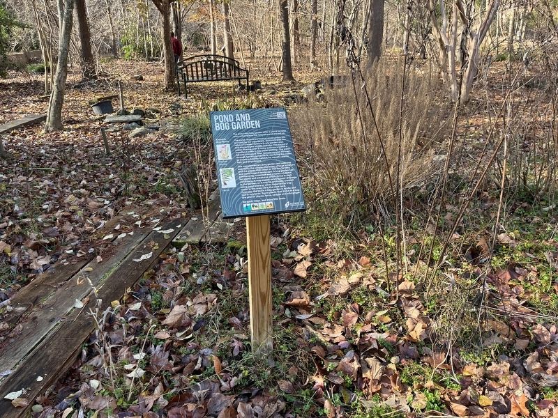 Pond and Bog Garden Marker image. Click for full size.