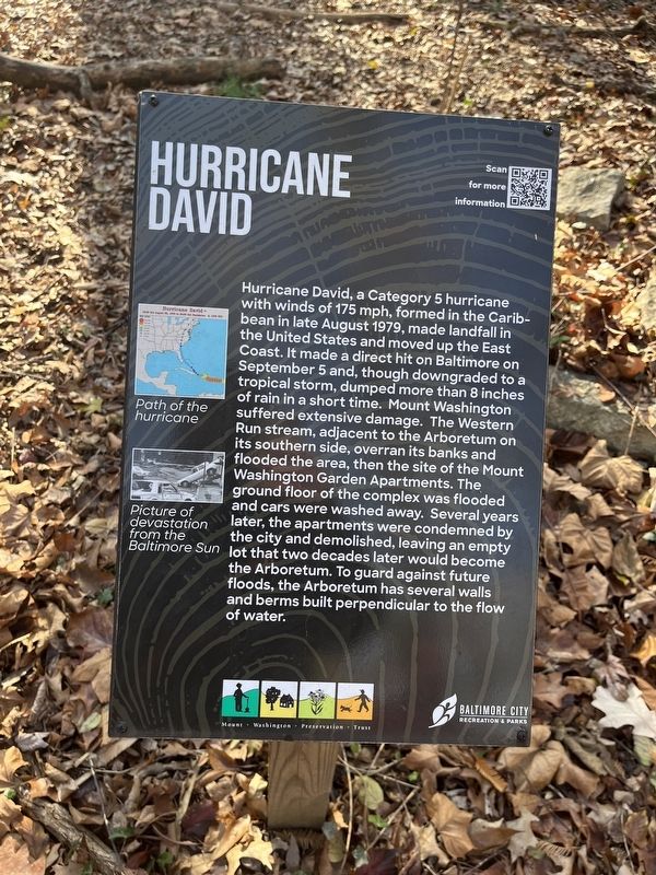 Hurricane David Marker image. Click for full size.