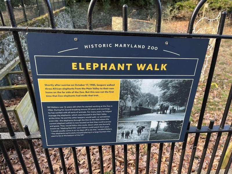 Elephant Walk Marker image. Click for full size.