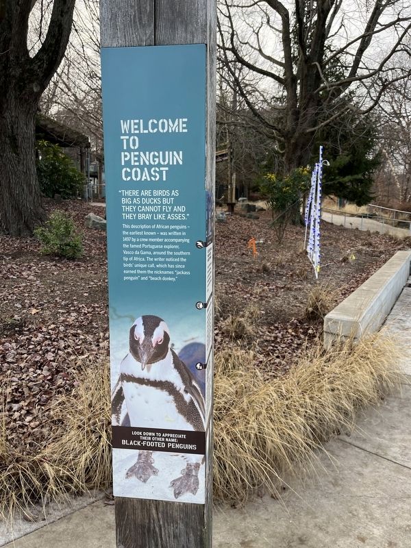 Welcome to Penguin Coast Marker image. Click for full size.