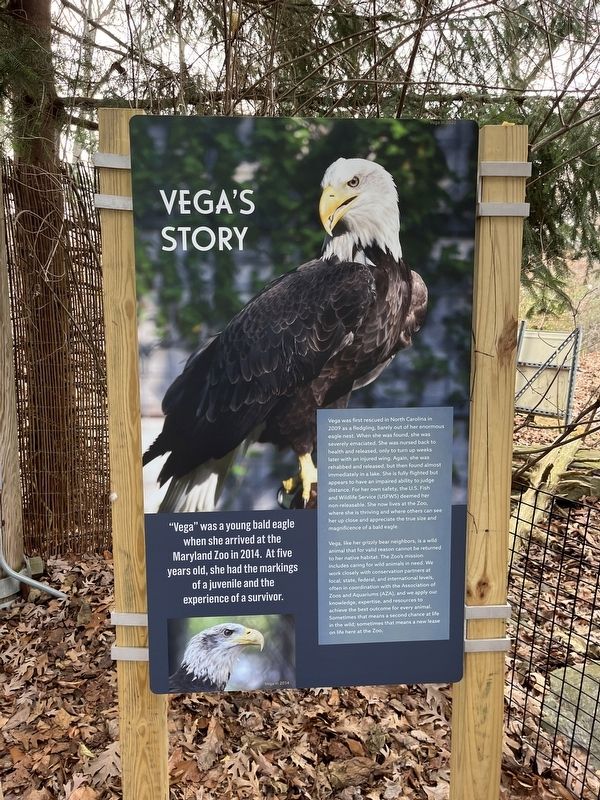 Vega's Story Marker image. Click for full size.